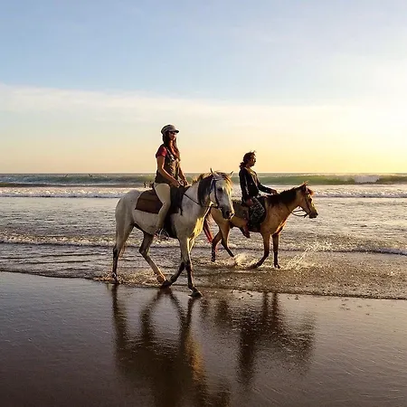 La Bitta 3* Marina di Pietrasanta